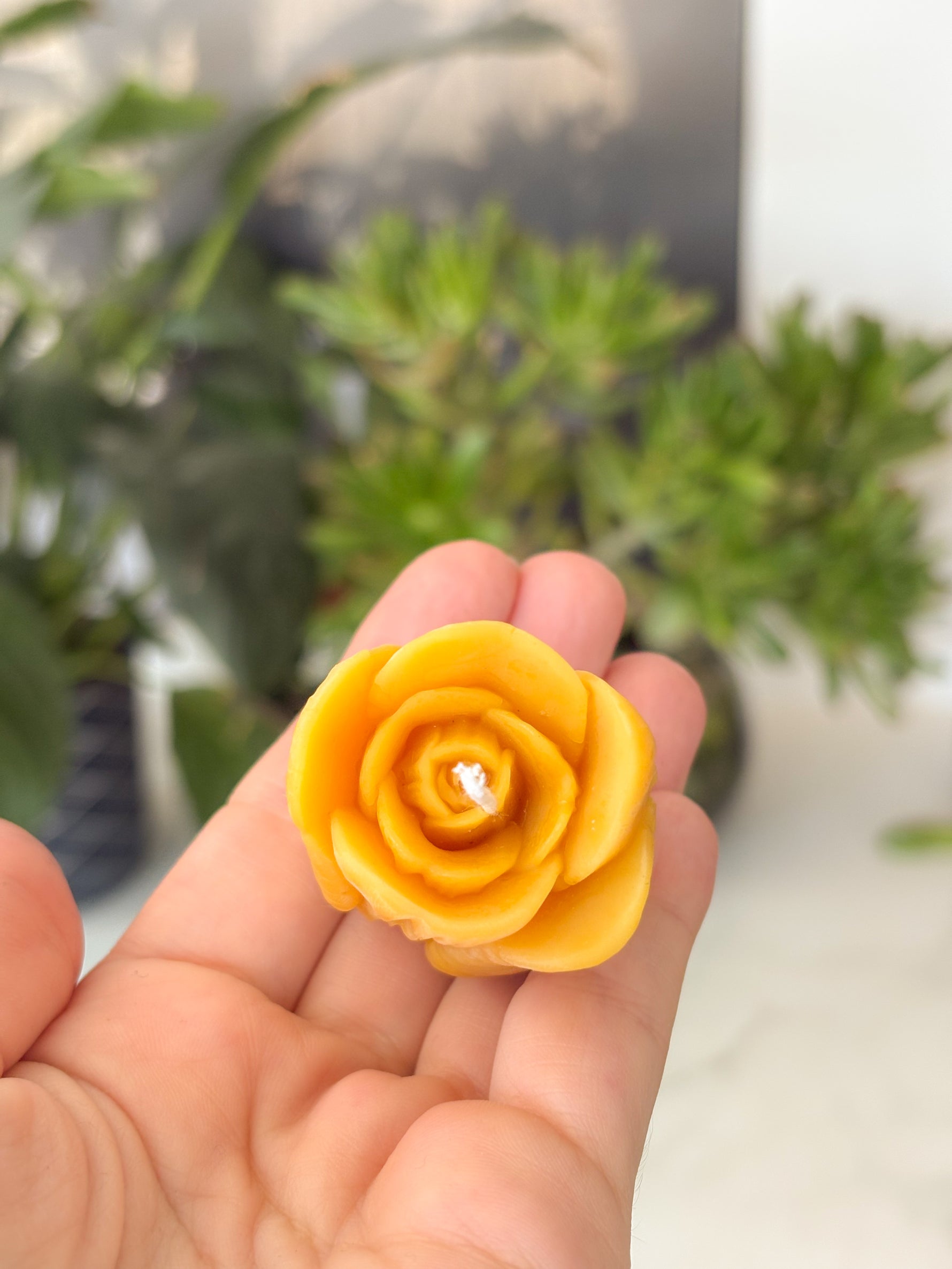 Balmumu lale mum elde tutulmuş yaprak dokusu yakın çekim